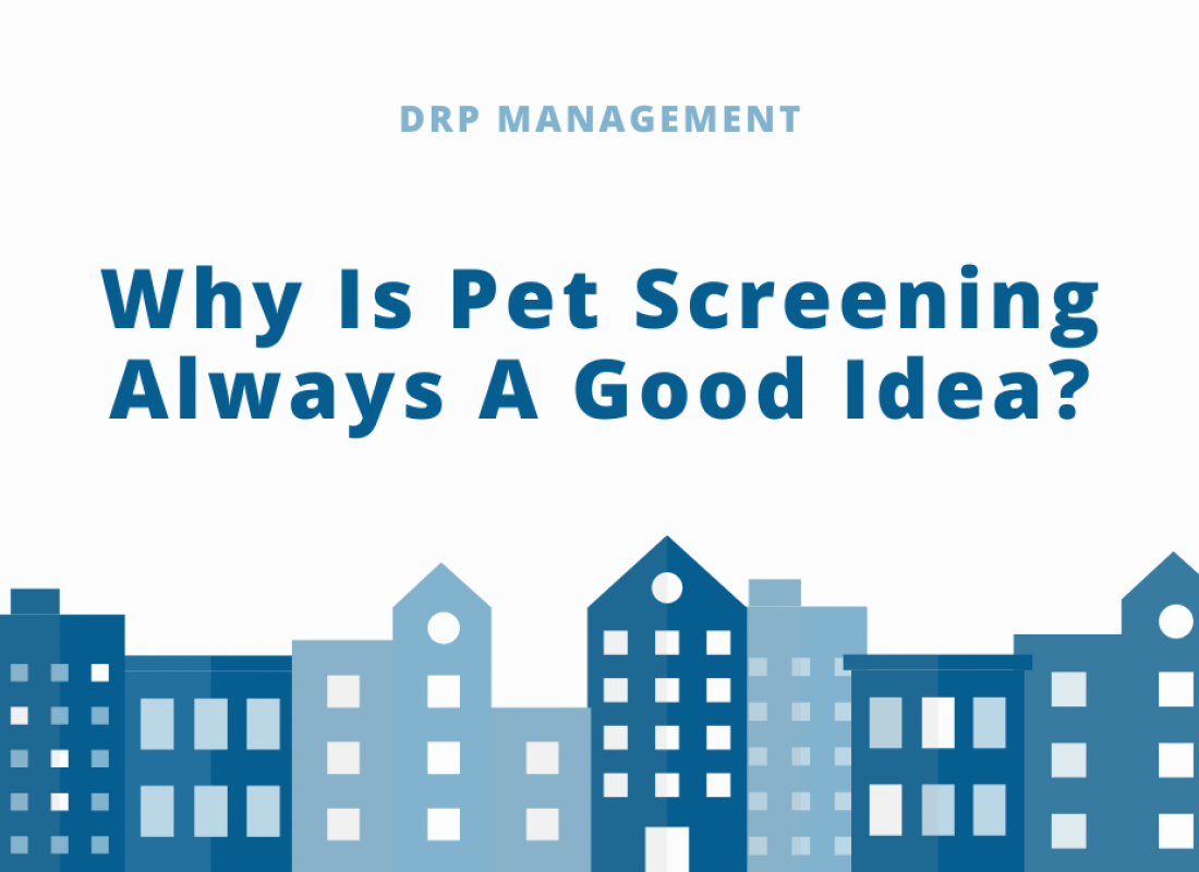 Why Is Pet Screening Always A Good Idea?